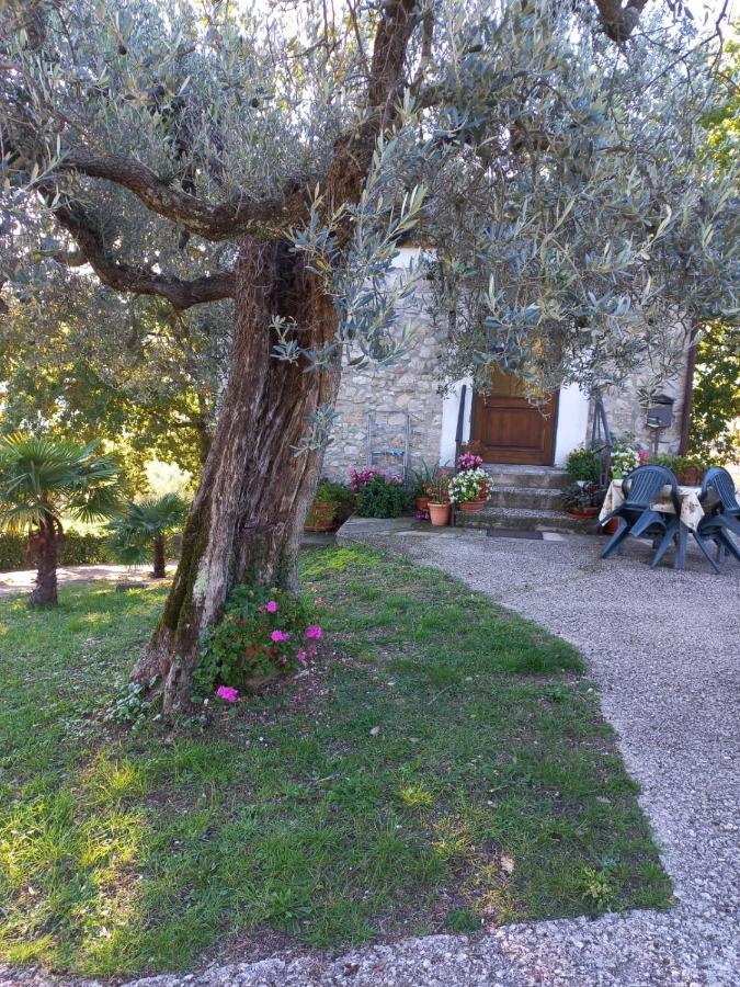 La Casetta Di Vacone Eksteriør billede