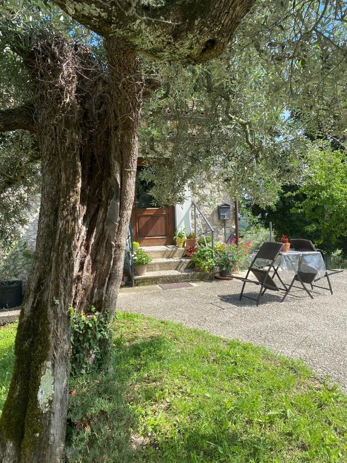 La Casetta Di Vacone Eksteriør billede